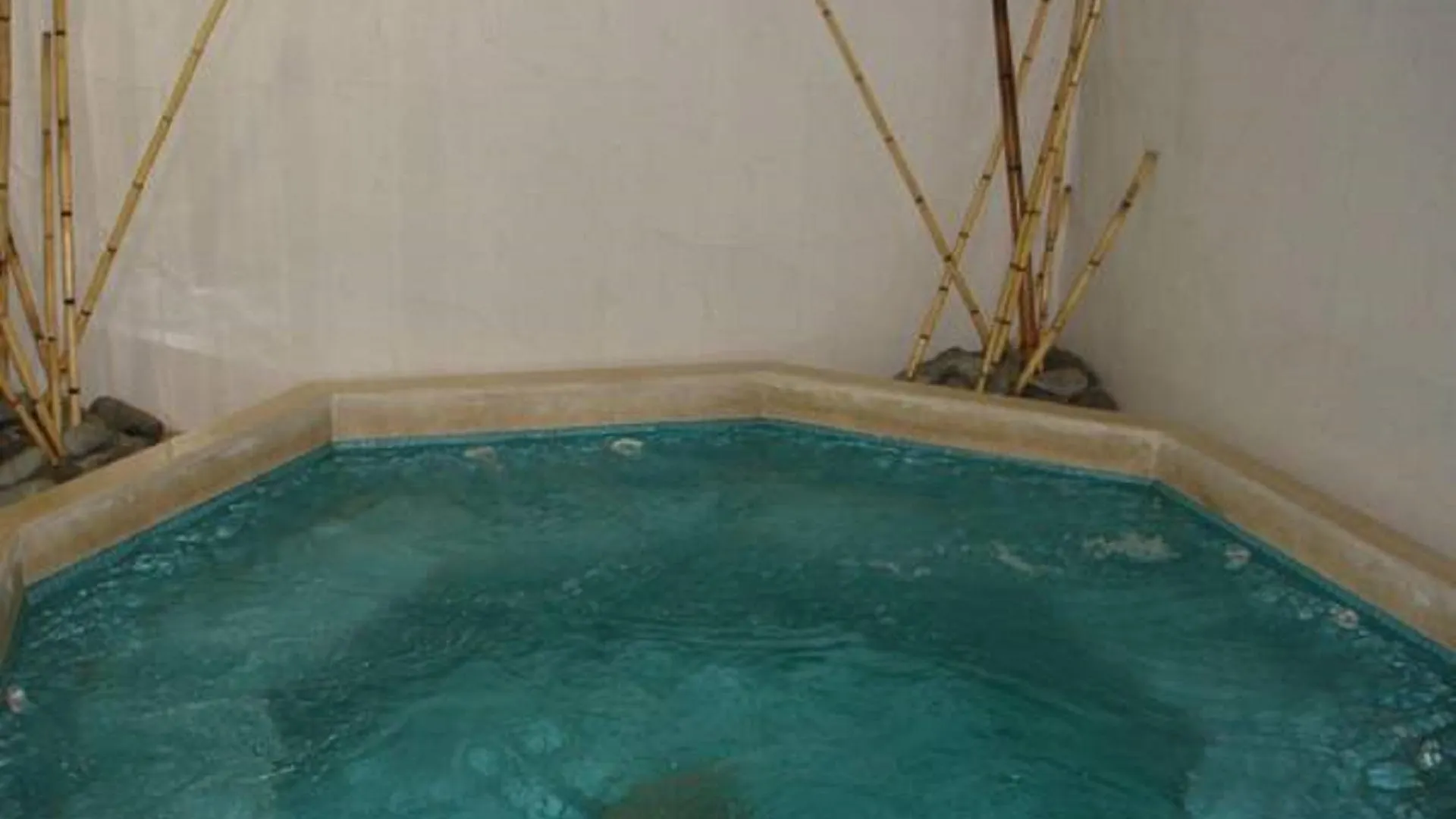 Hotel Provincial Mendoza
